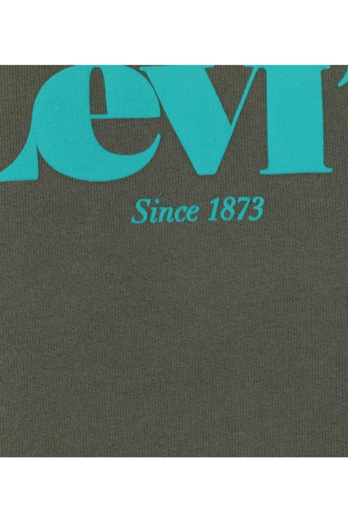 relaxed-graphic-po-mv-ssnl-core-hoodie-ea7-41.jpg