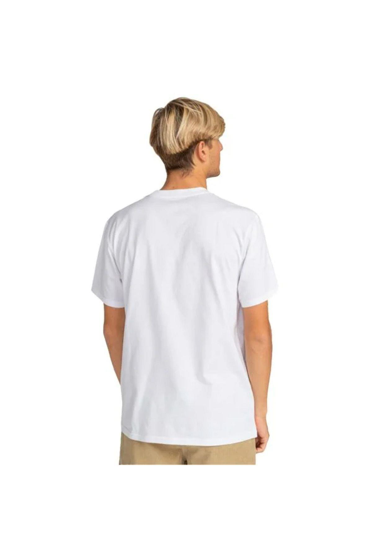 rotor-fill-ss--d7265.jpg