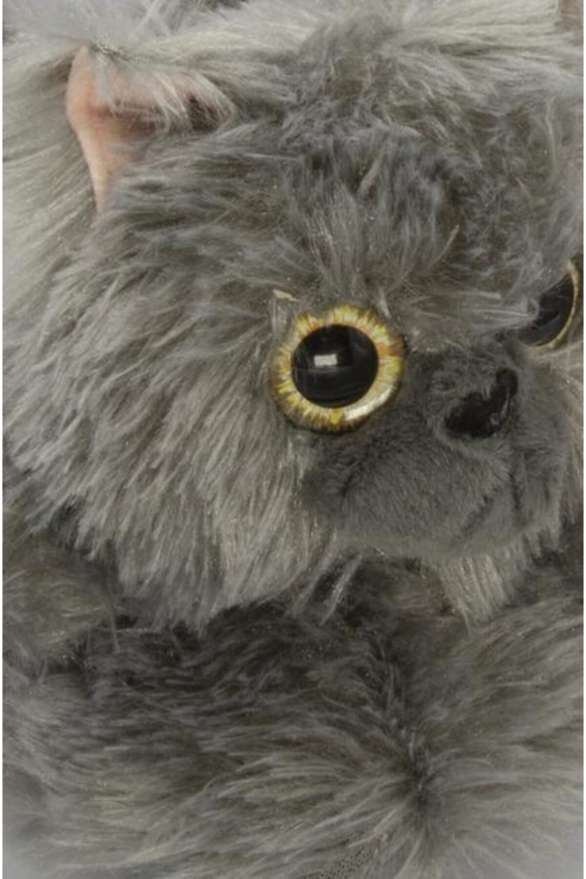 rr0538-kedi-kadin-panduf-0a841e.jpg