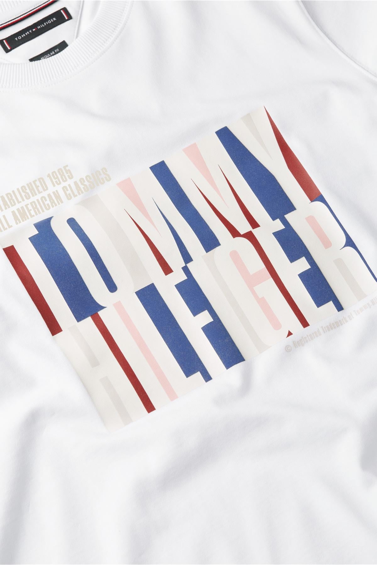 split-colour-erkek-graphic-t-shirt-2c66ae.jpg
