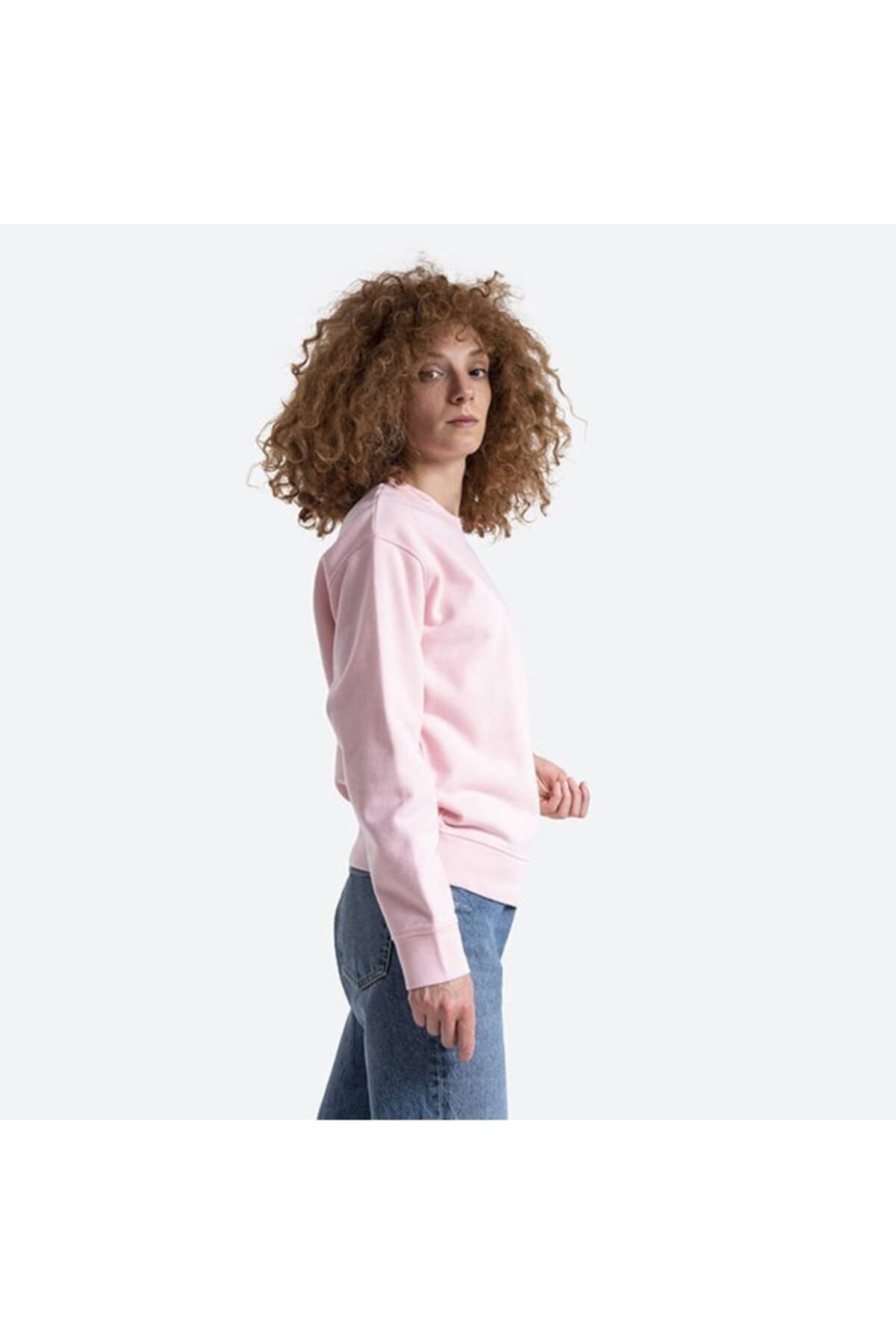 standard-sweatshirt-522f8b.jpg