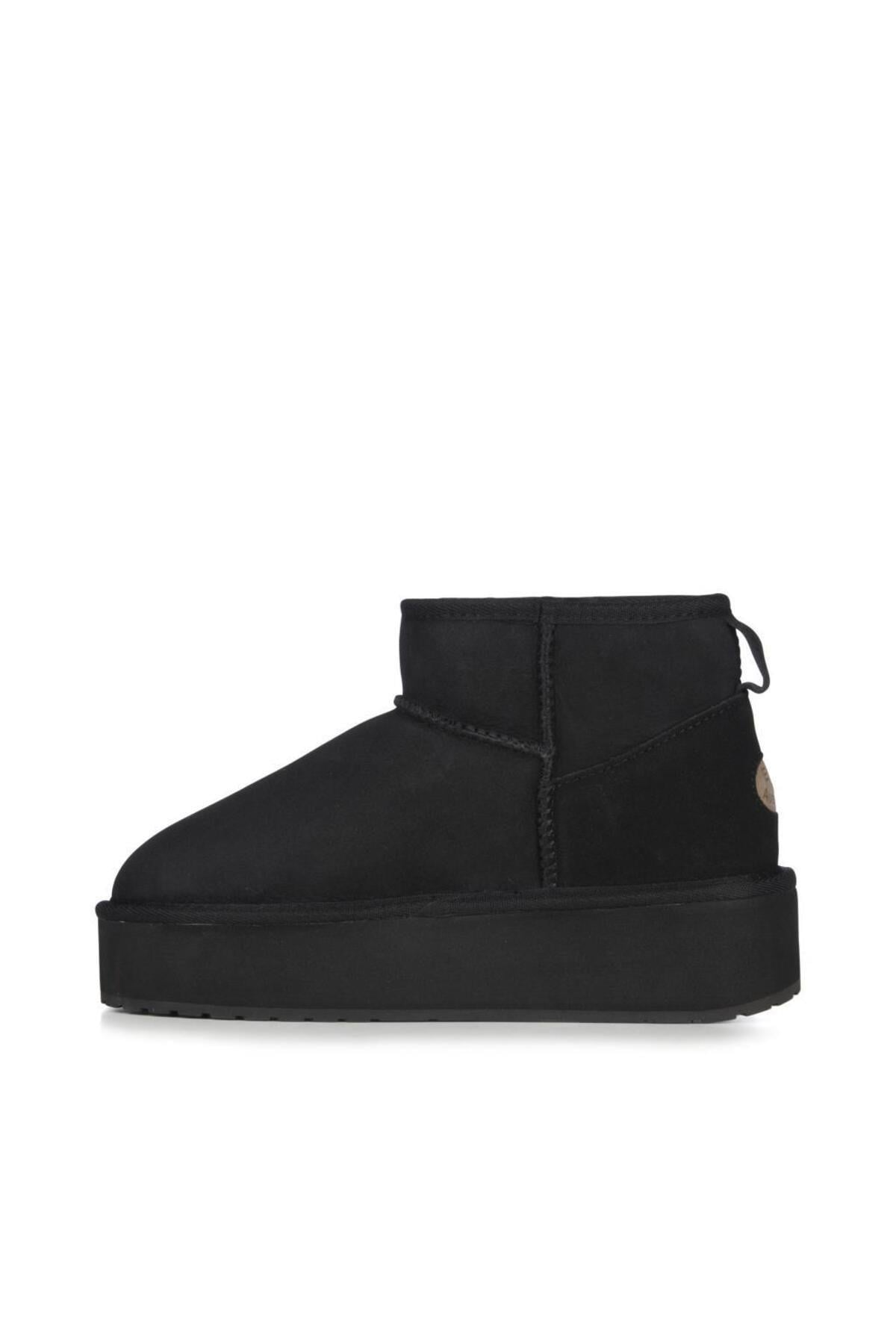stinger-micro-flatform-733058.jpg