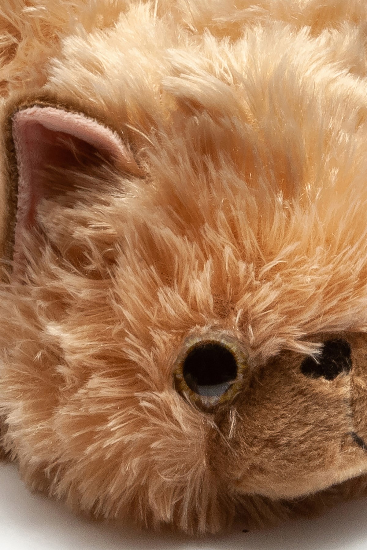 tw-kedi-2-khv-2835-a09c-4.jpg
