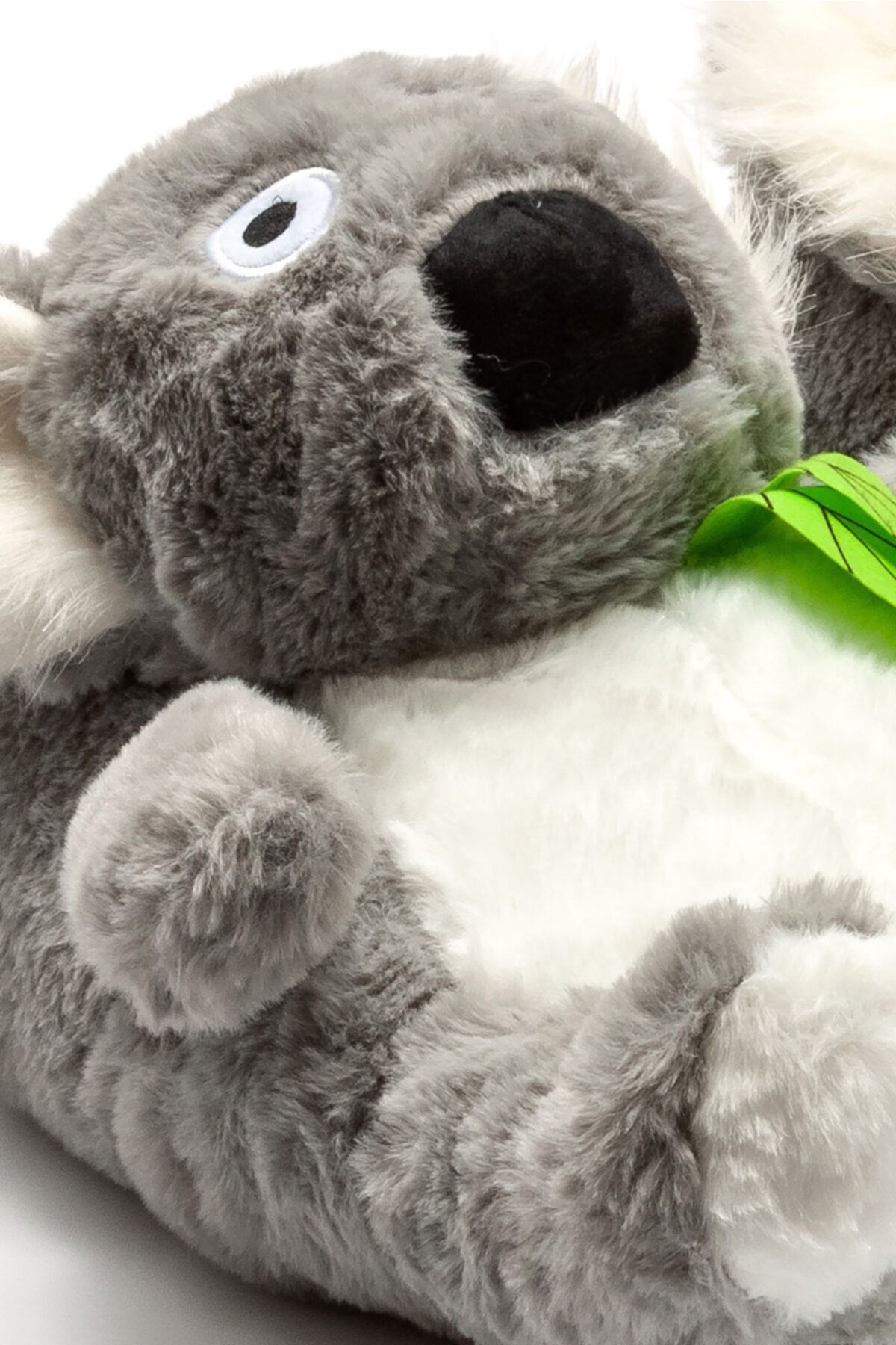 tw-koala-2-kadin-hayvanli-panduf-eb1fb-.jpg