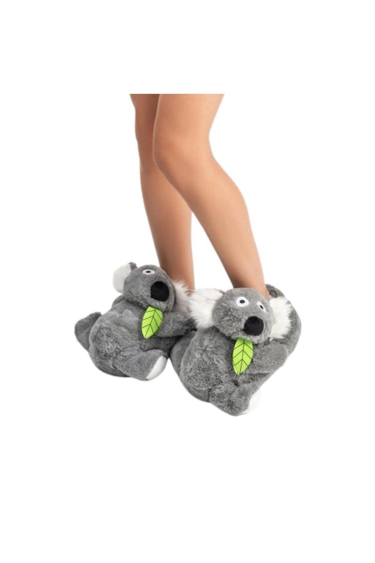 twingy-koala-kadin-panduf-892-b2.jpg