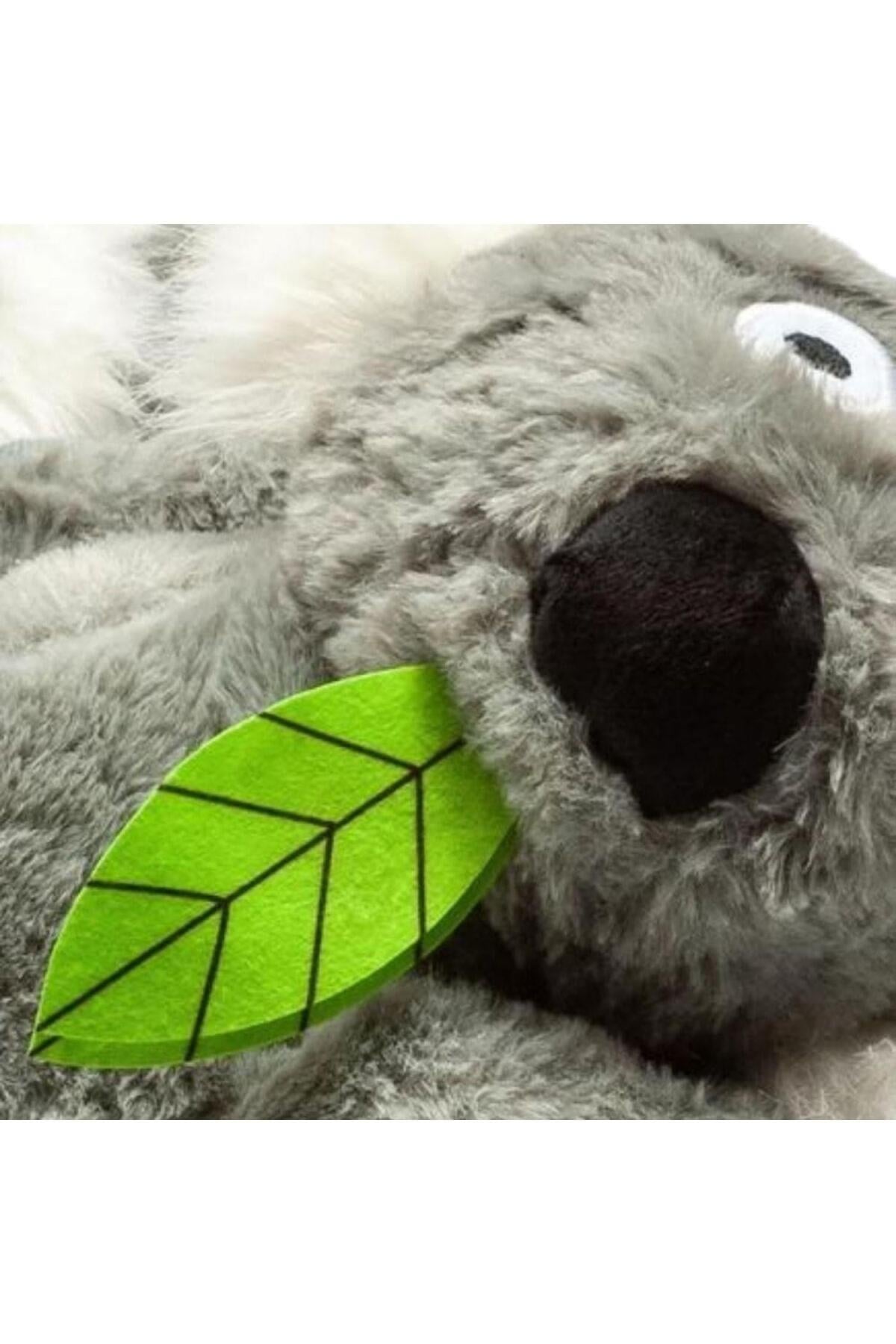 twingy-koala-kadin-panduf-de9-46.jpg