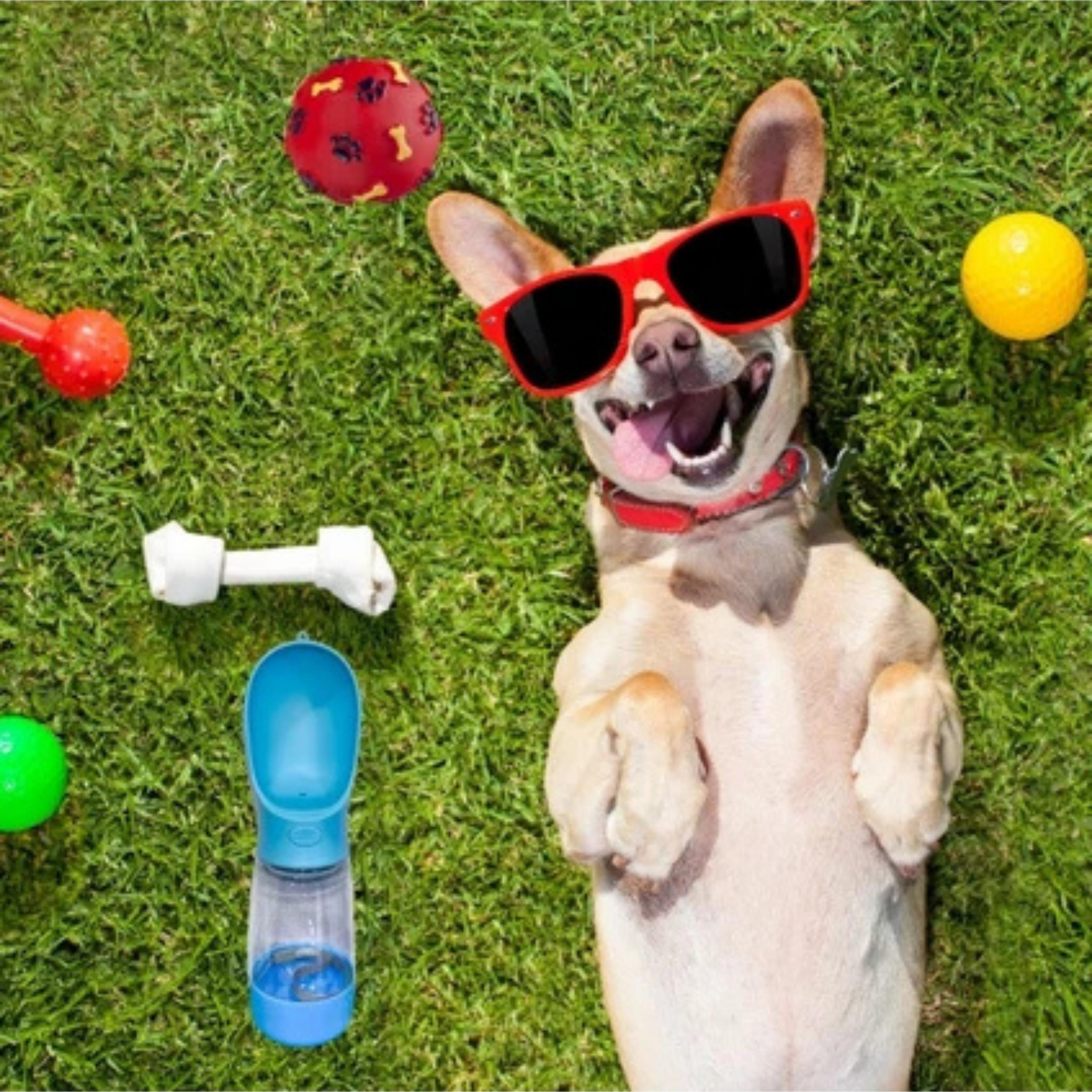 Taşınabilir Mama Hazneli Suluk Evcil Hayvan Kedi Köpek Suluğu Seyahat Tipi Su Mama Kabı