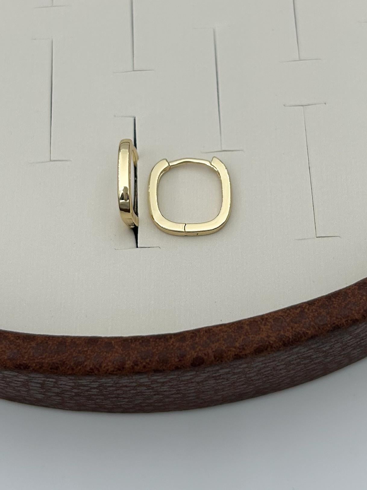 Vip 14K Gold Küpe