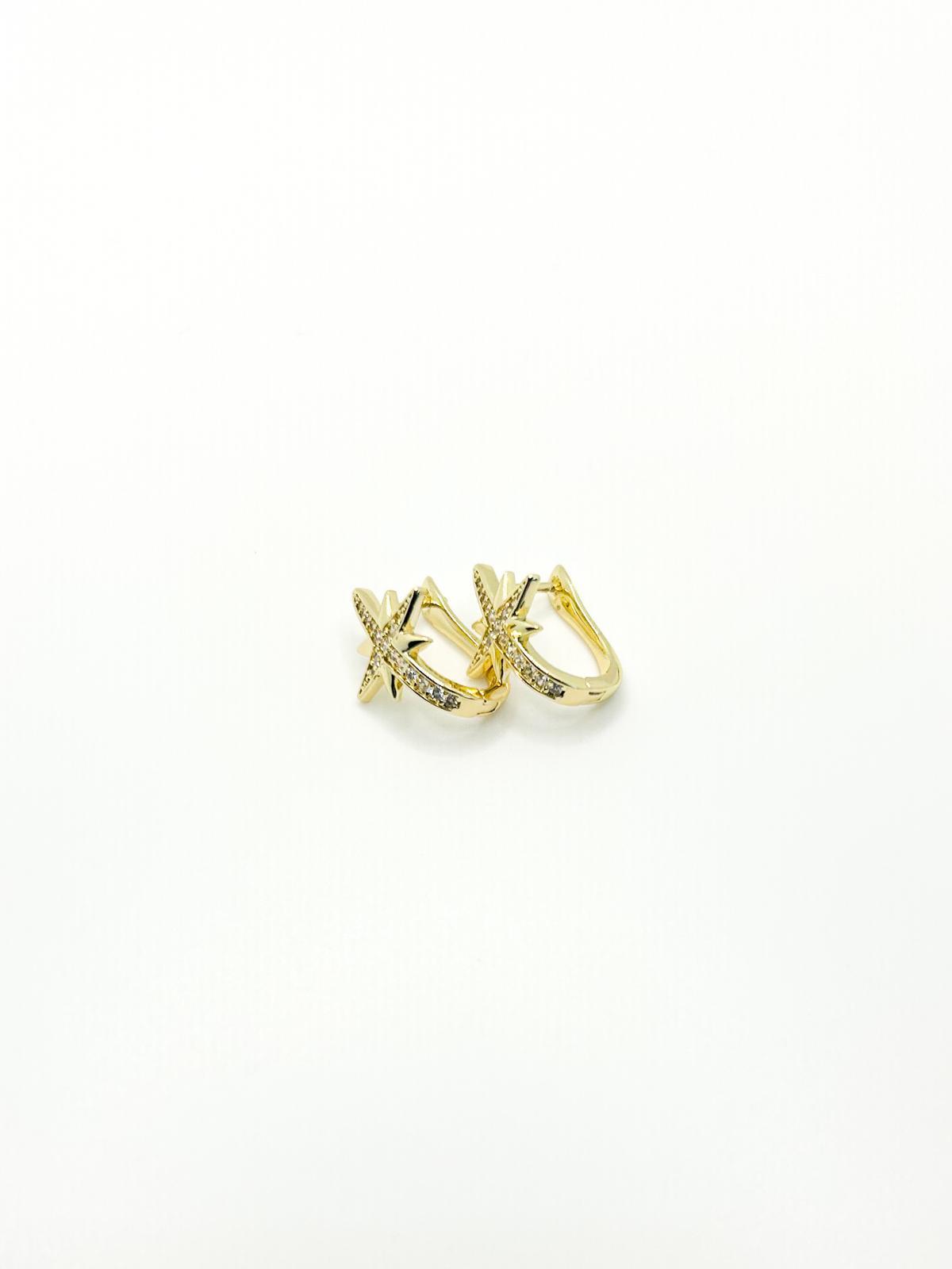 Vip 14K Küpe