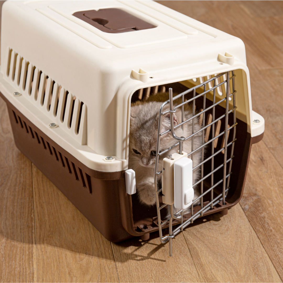 SwitchBot Contact Sensor – Akıllı Kapı ve Pencere Sensörü  2. Barkod / EAN