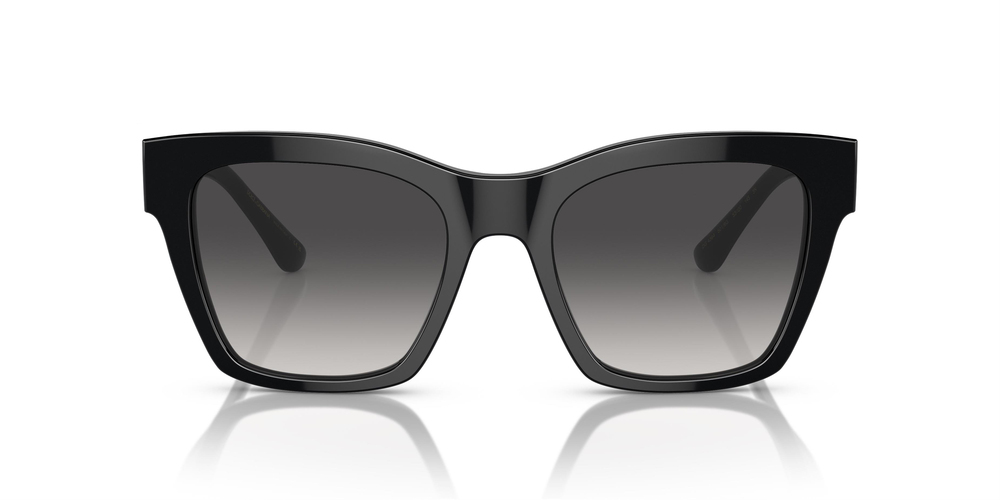 DOLCE GABBANA DG 4384 501/8G 53