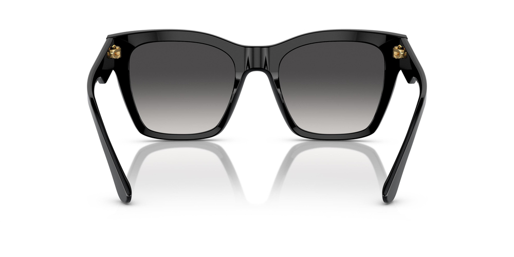DOLCE GABBANA DG 4384 501/8G 53