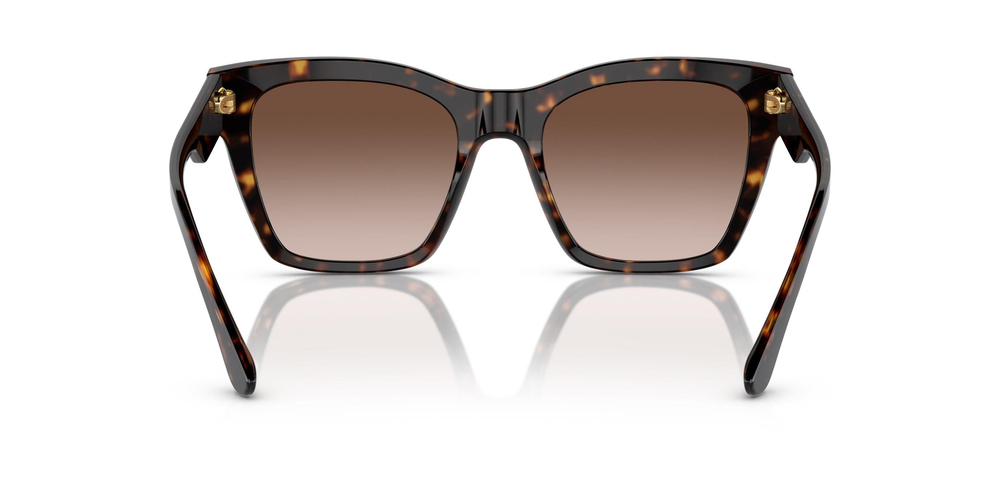 DOLCE GABBANA DG 4384 502/13 53