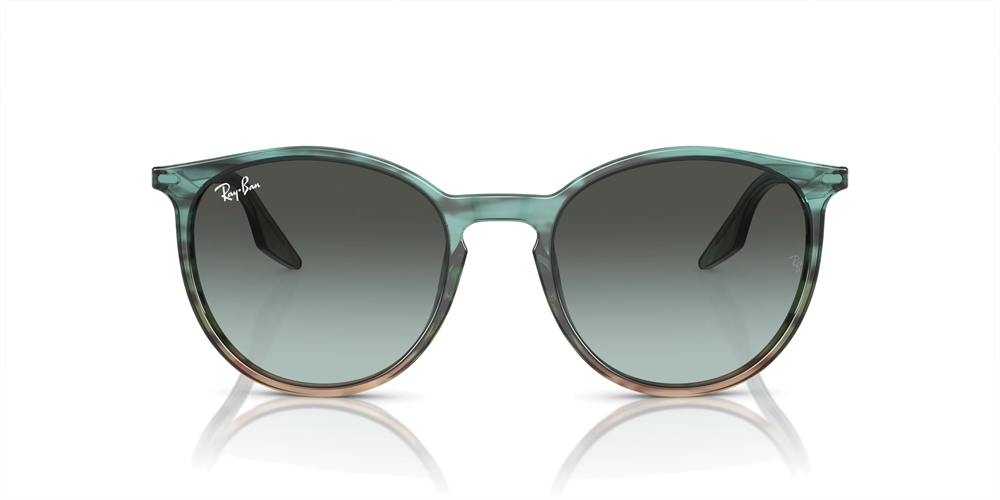 RAYBAN RB 2204 1394GK 54