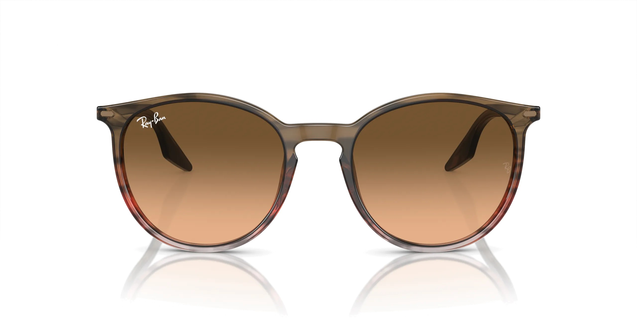 RAYBAN RB 2204 13953B 54