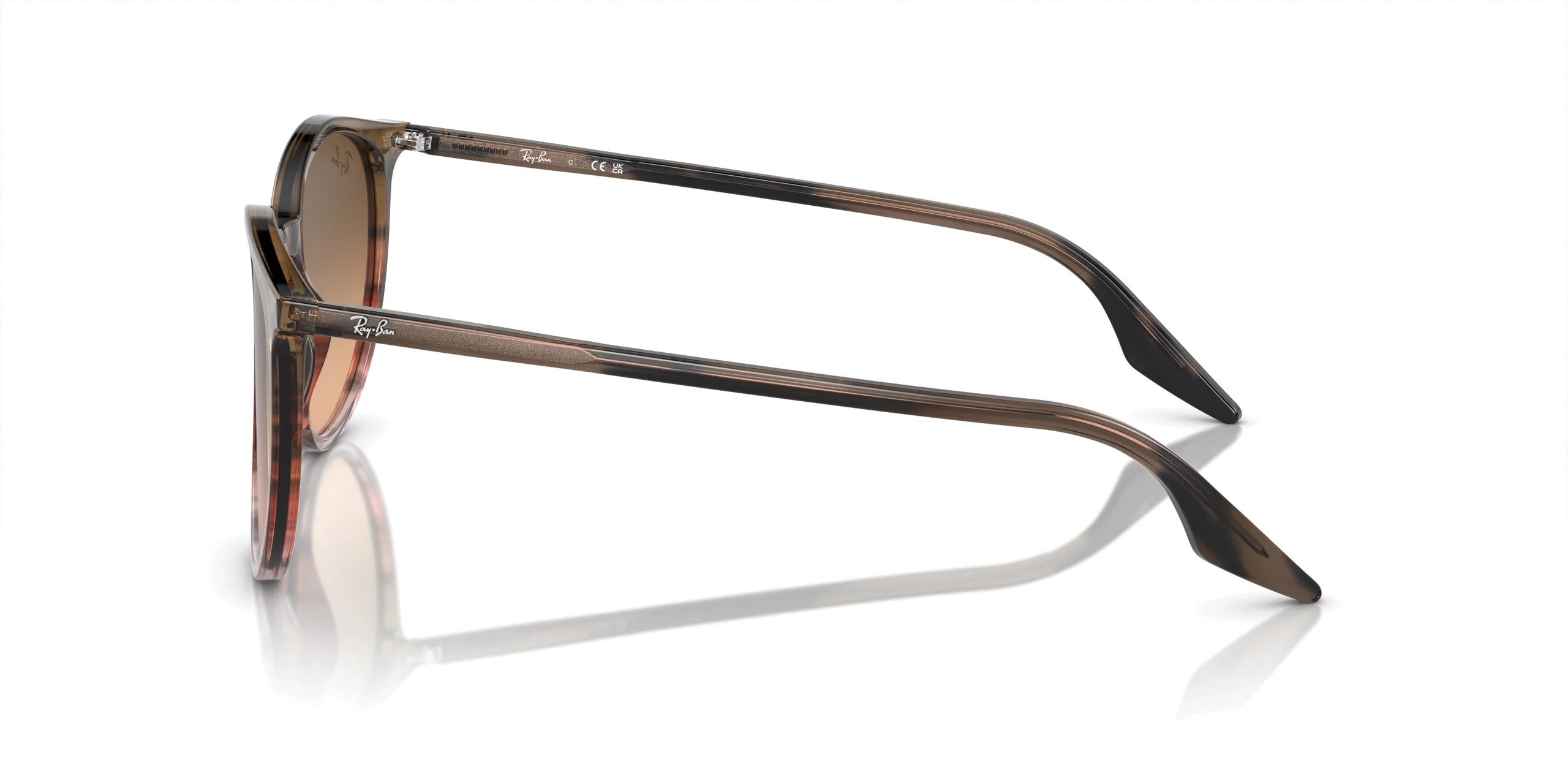 RAYBAN RB 2204 13953B 54