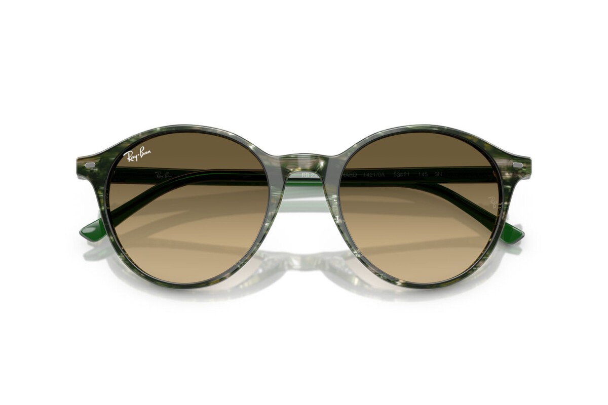 RAYBAN RB 2230 Bernard 14210A 51