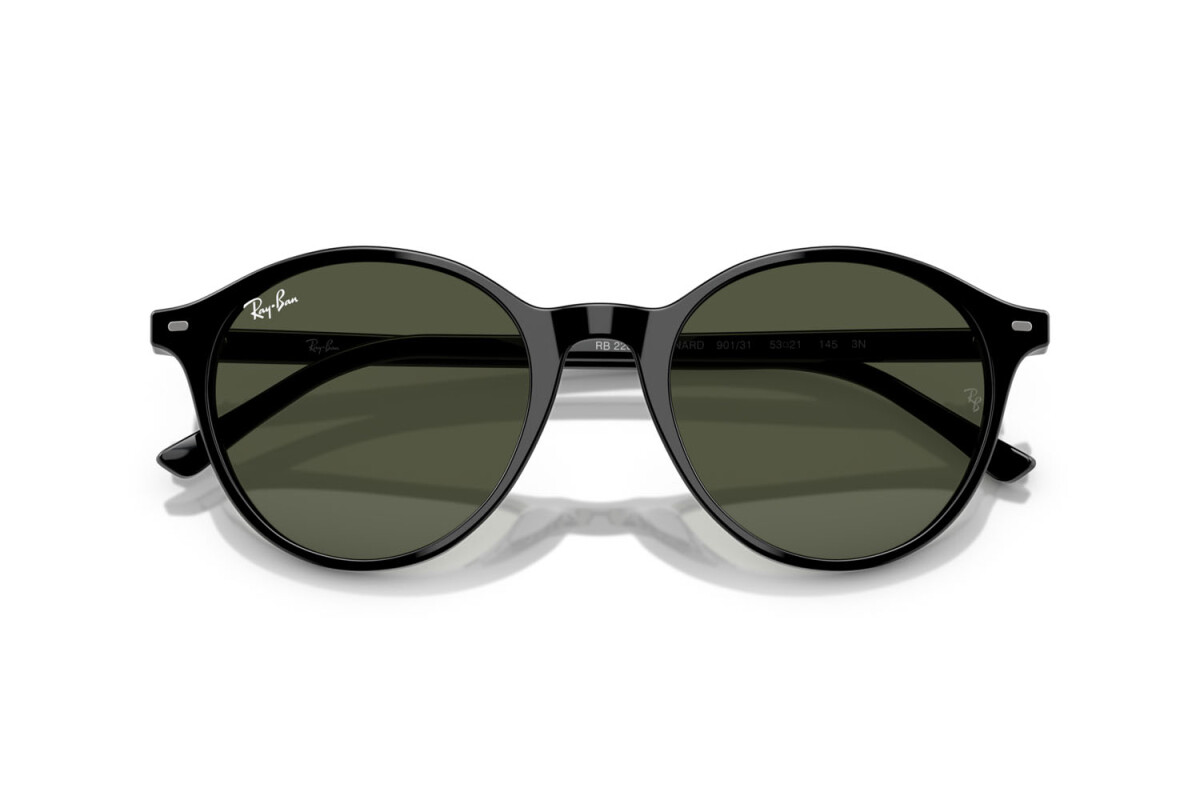 RAYBAN RB 2230 Bernard 901/31 51