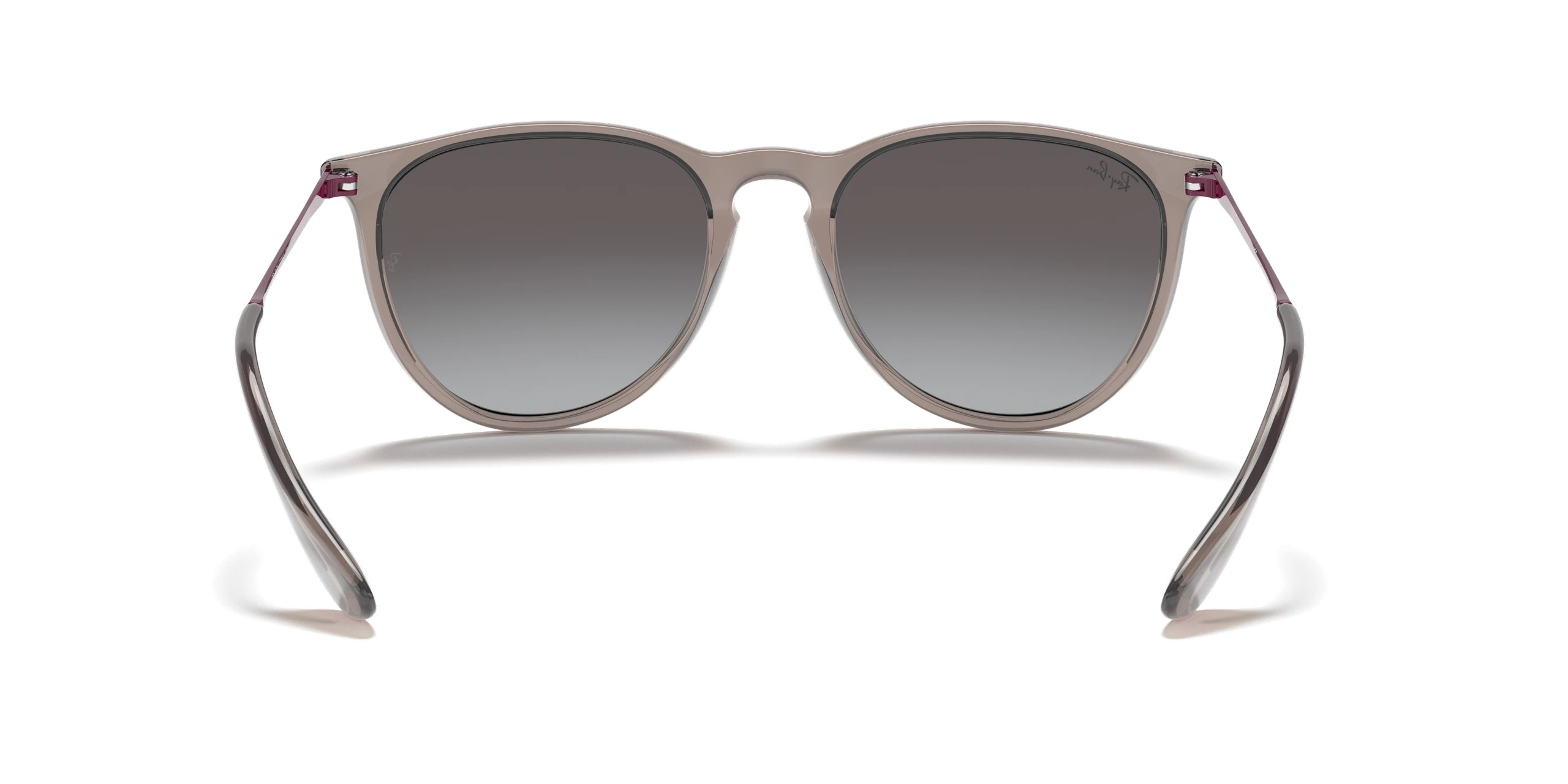 RAYBAN RB 4171 Erika 65138G 54