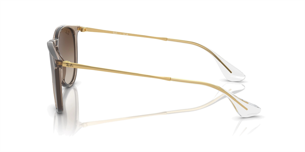RAYBAN RB 4171 Erika 674413 54