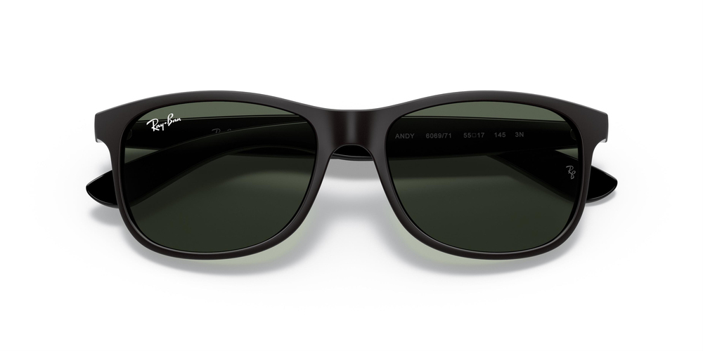 RAYBAN RB 4202 Andy 6069/71 55
