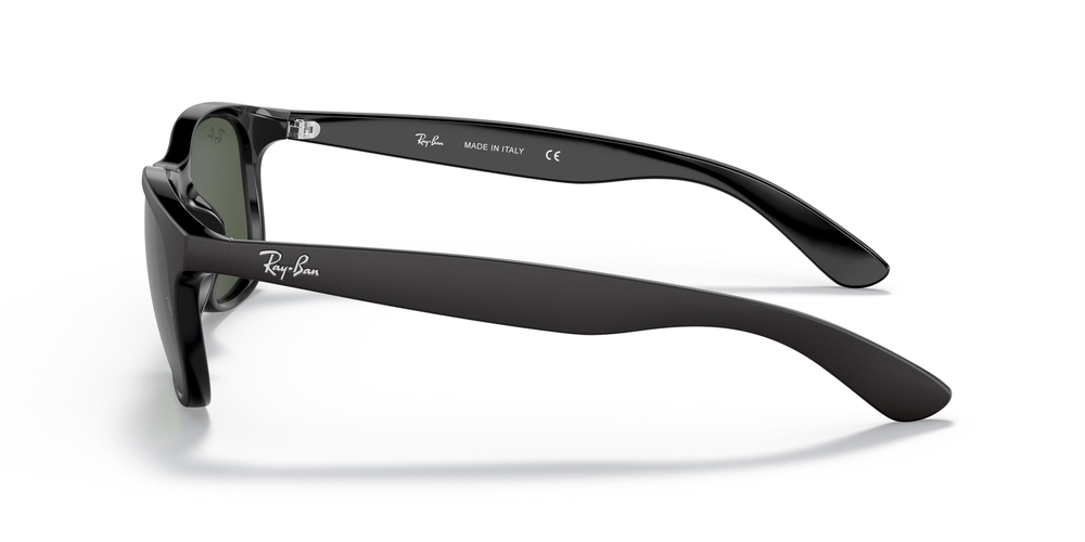 RAYBAN RB 4202 Andy 6069/71 55