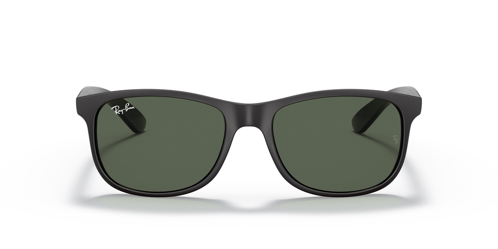 RAYBAN RB 4202 Andy 6069/71 55