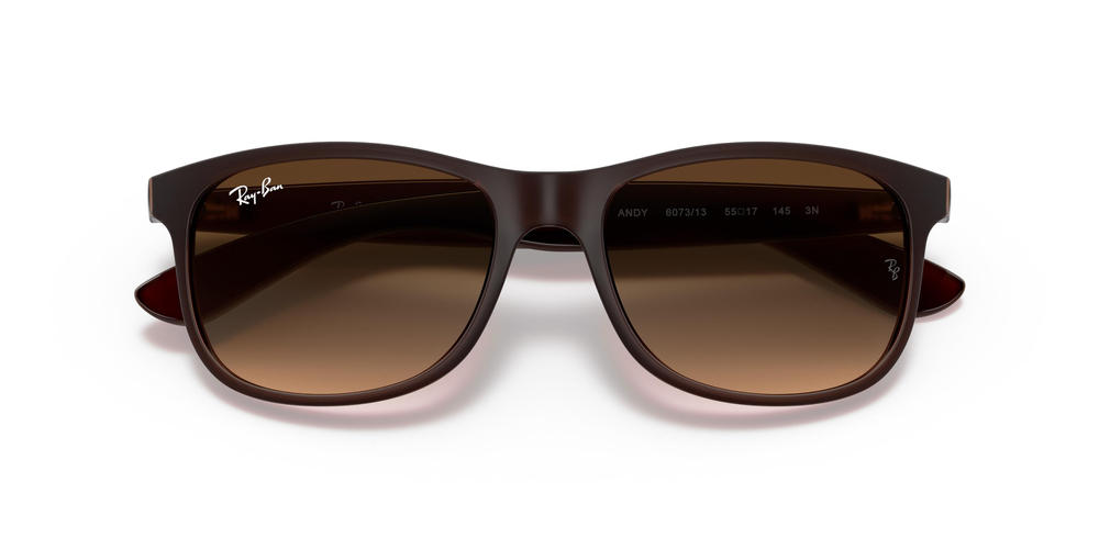RAYBAN RB 4202 Andy 6073/13 55