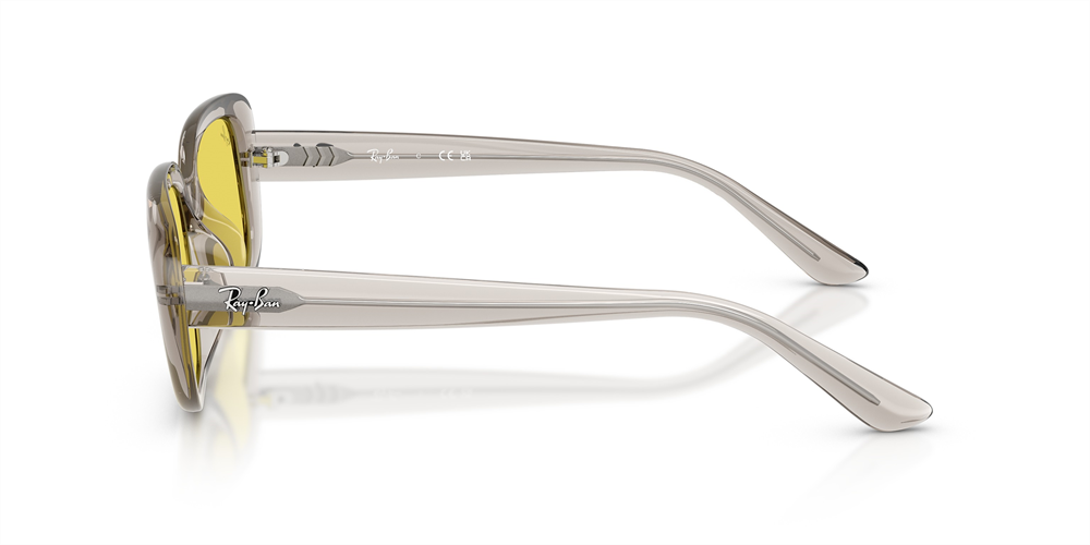 RAYBAN RB 4421D 681885 56