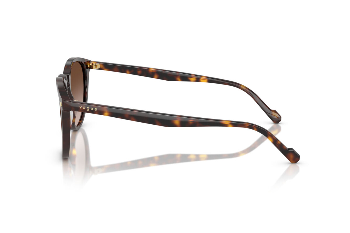 VOGUE VO 5599-S W65613 53