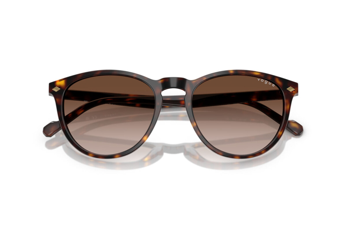 VOGUE VO 5599-S W65613 53