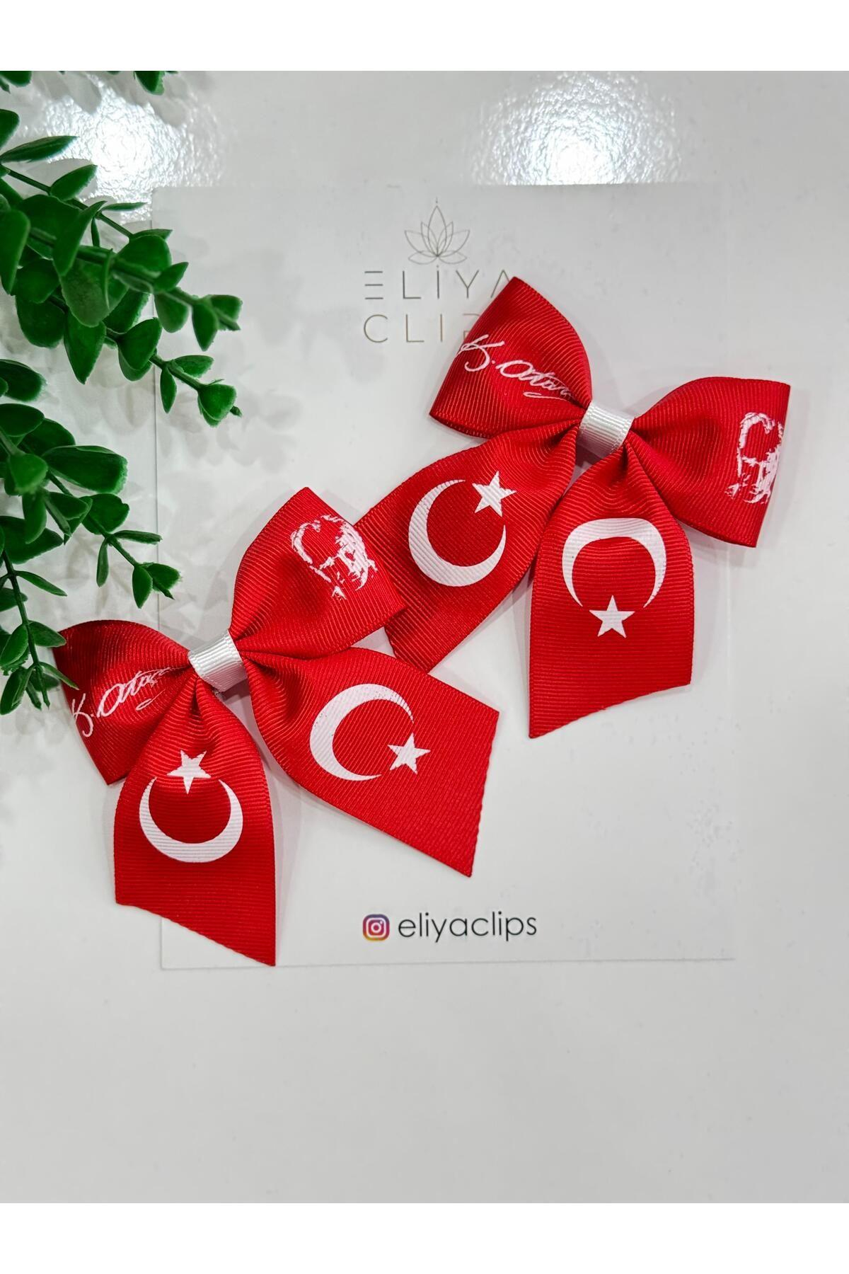 2-adet-turk-bayrak-kirmizi-ataturk-imz-dec03b.jpg
