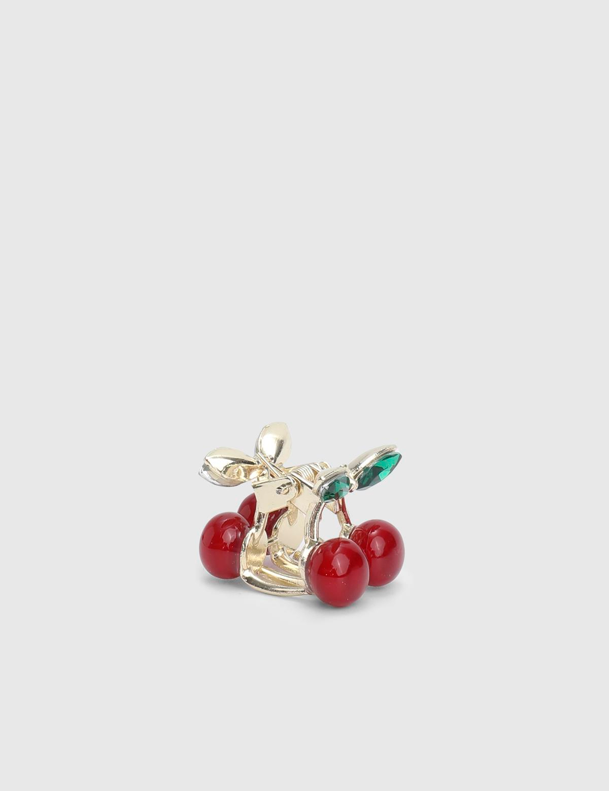 Briare Burgundy Women's Hair Claw Clip