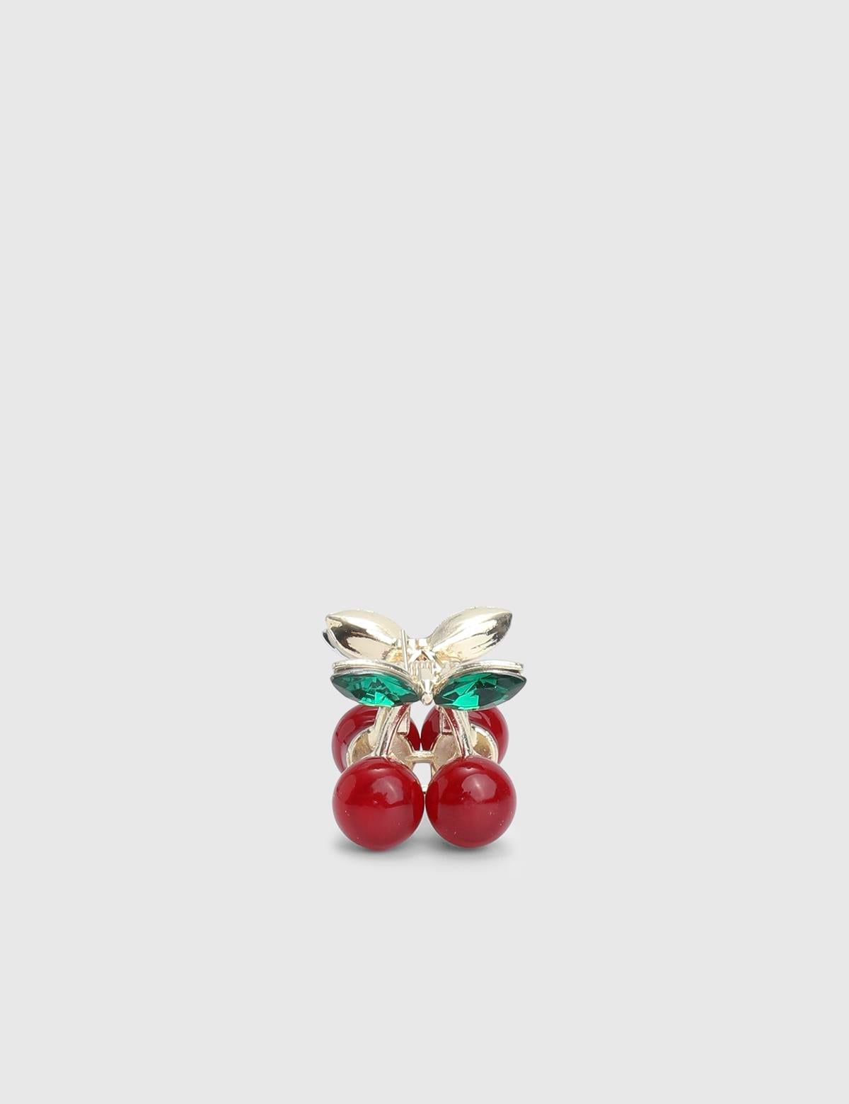 Briare Burgundy Women's Hair Claw Clip
