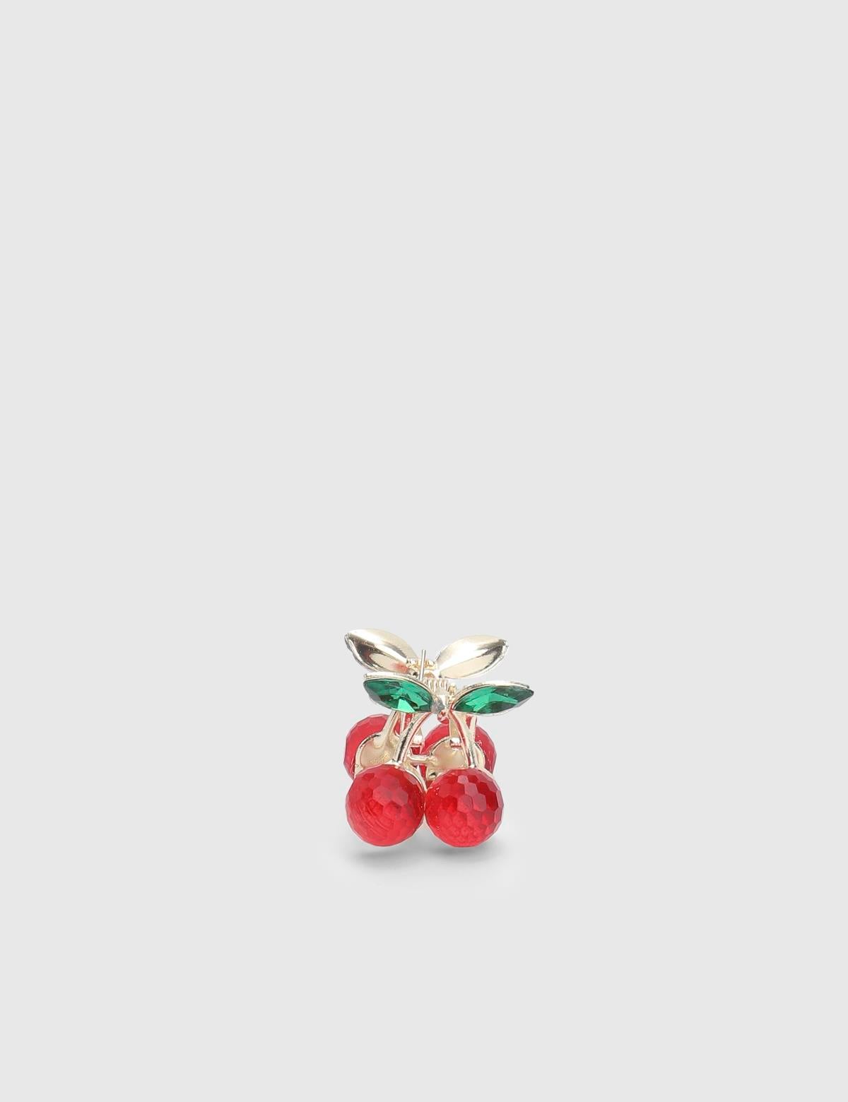 Briare Red Women's Hair Claw Clip