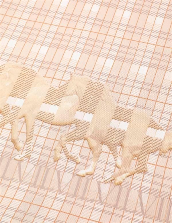 Dakota Beige Unisex Shawl