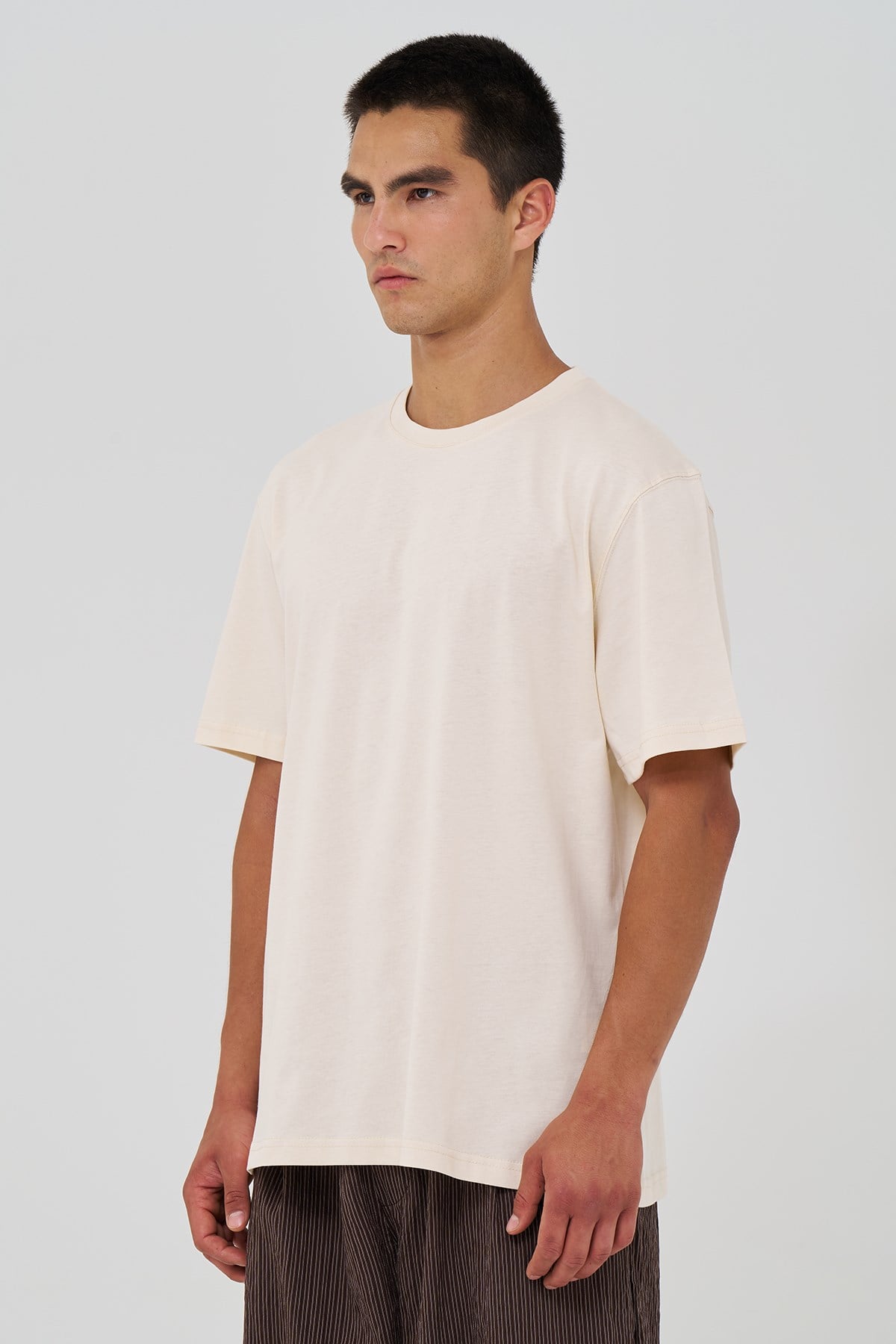 Basic Regular Fit Tişört Erkek /02 Stone