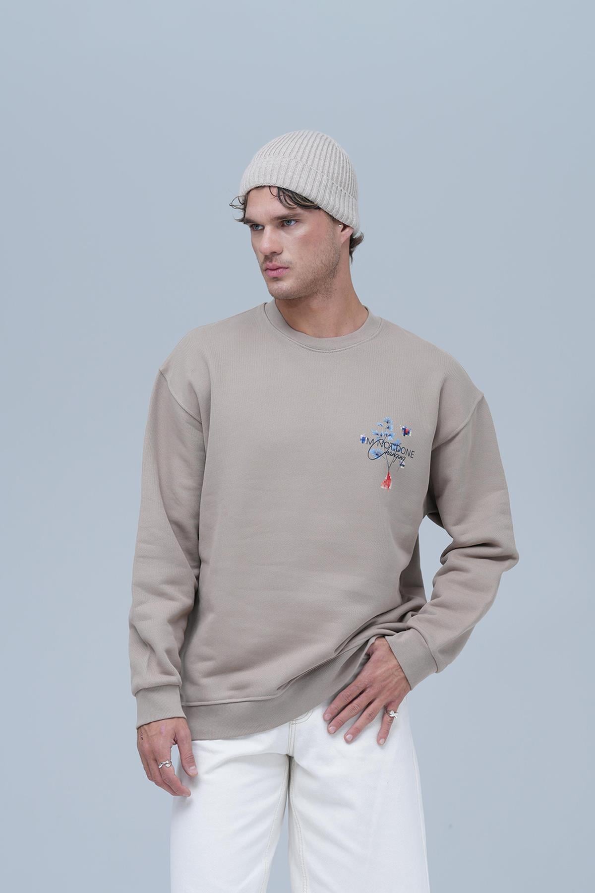 Evolving Oversize Sweatshirt Erkek Bisküvi