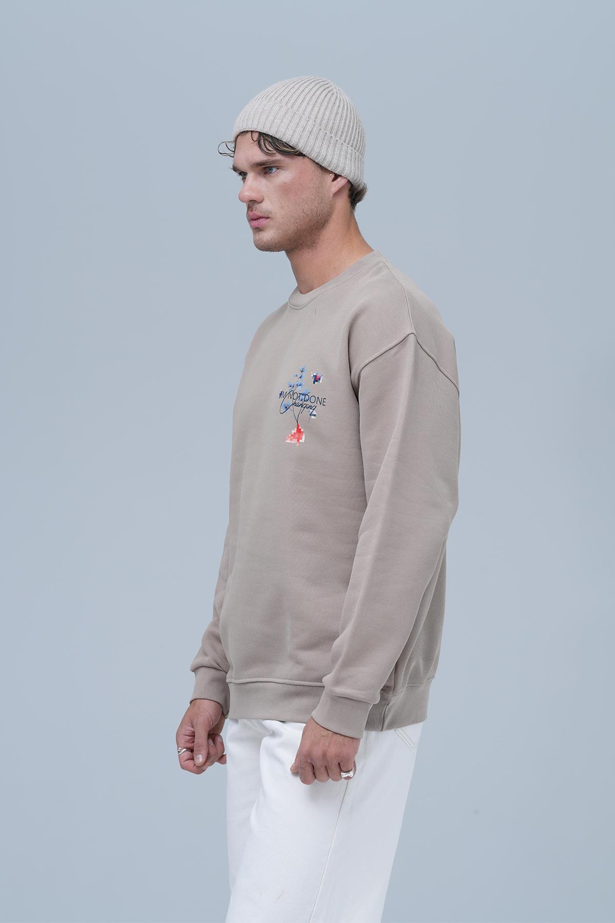 Evolving Oversize Sweatshirt Erkek Bisküvi