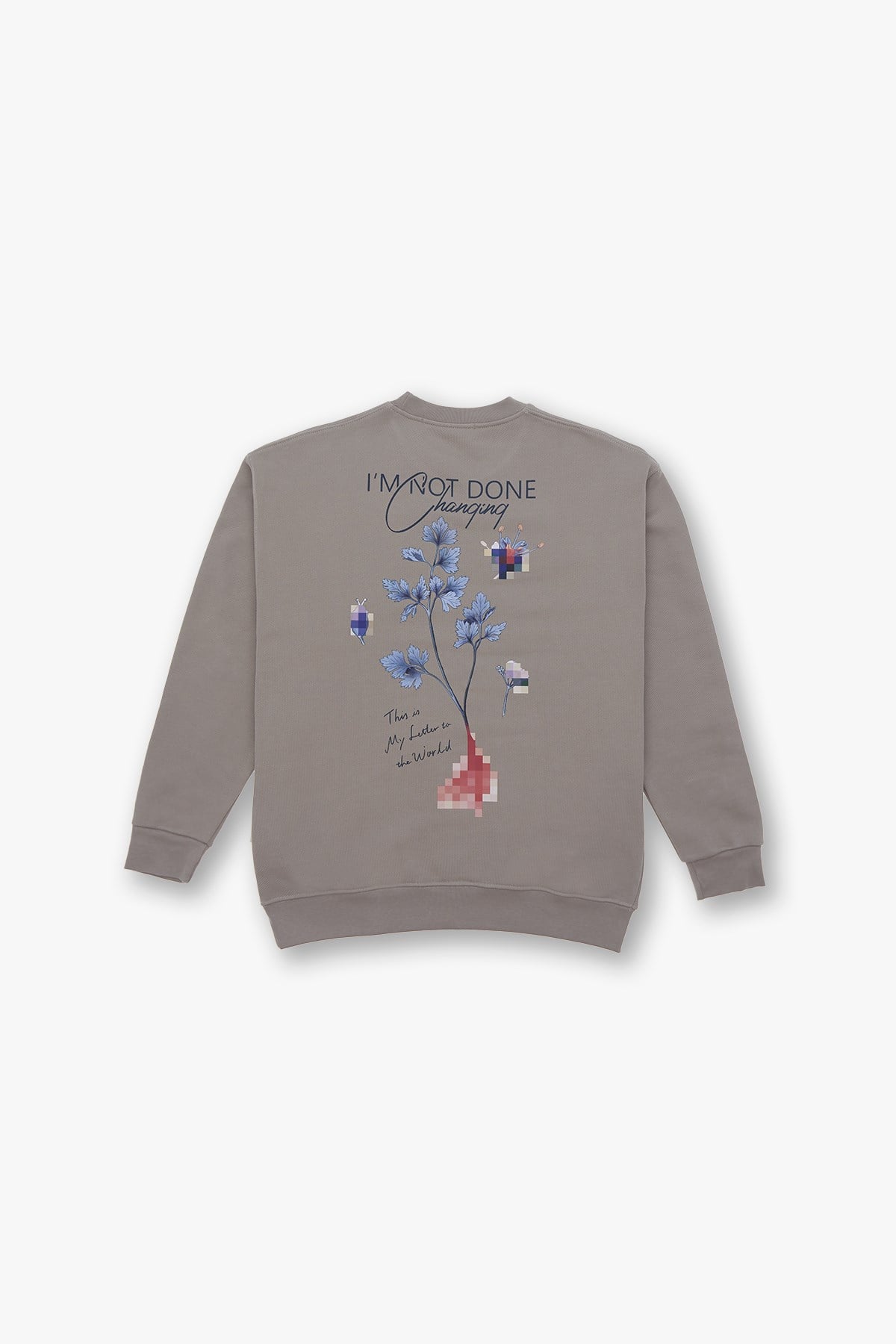 Evolving Oversize Sweatshirt Erkek Bisküvi