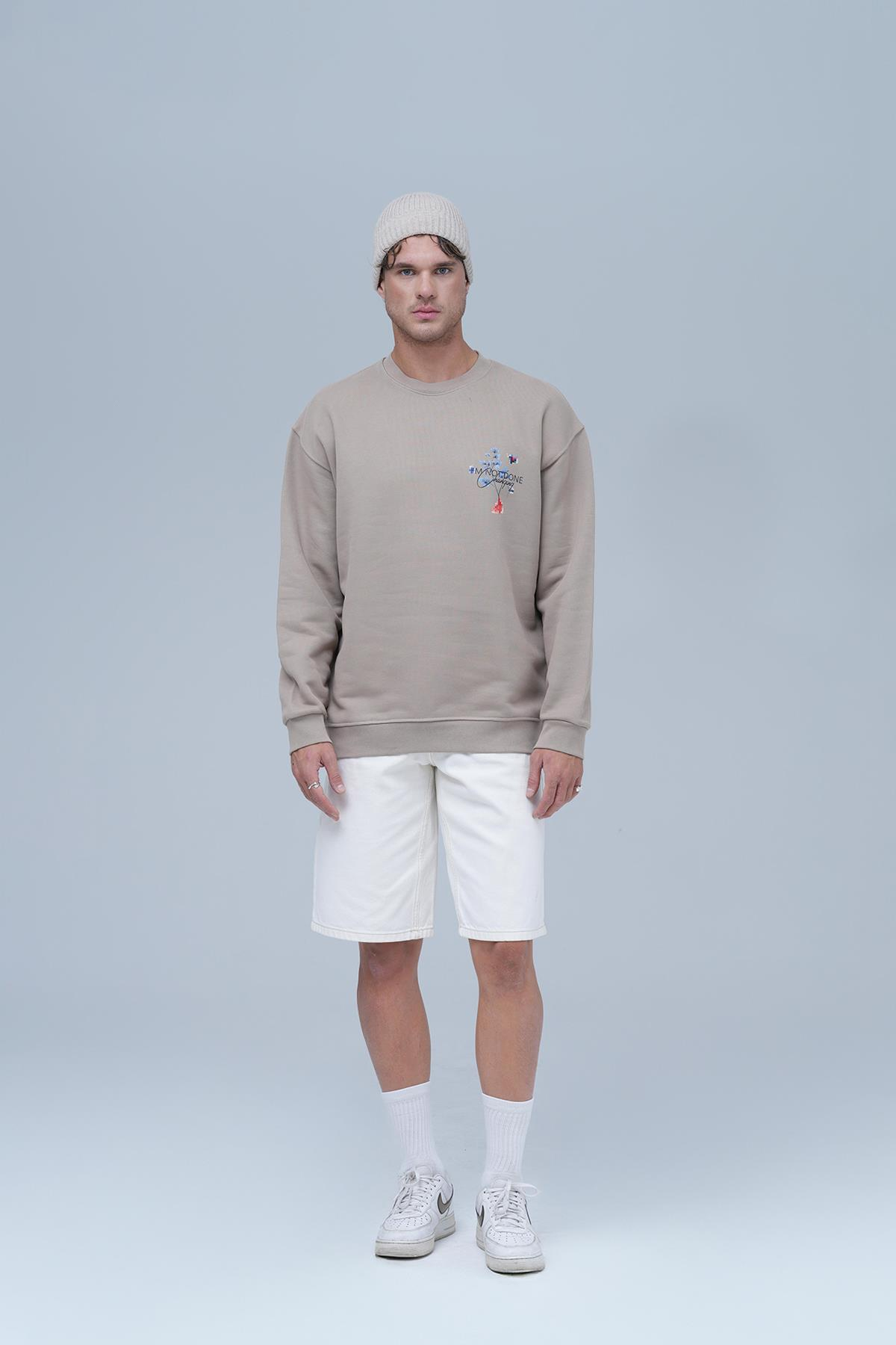 Evolving Oversize Sweatshirt Erkek Bisküvi