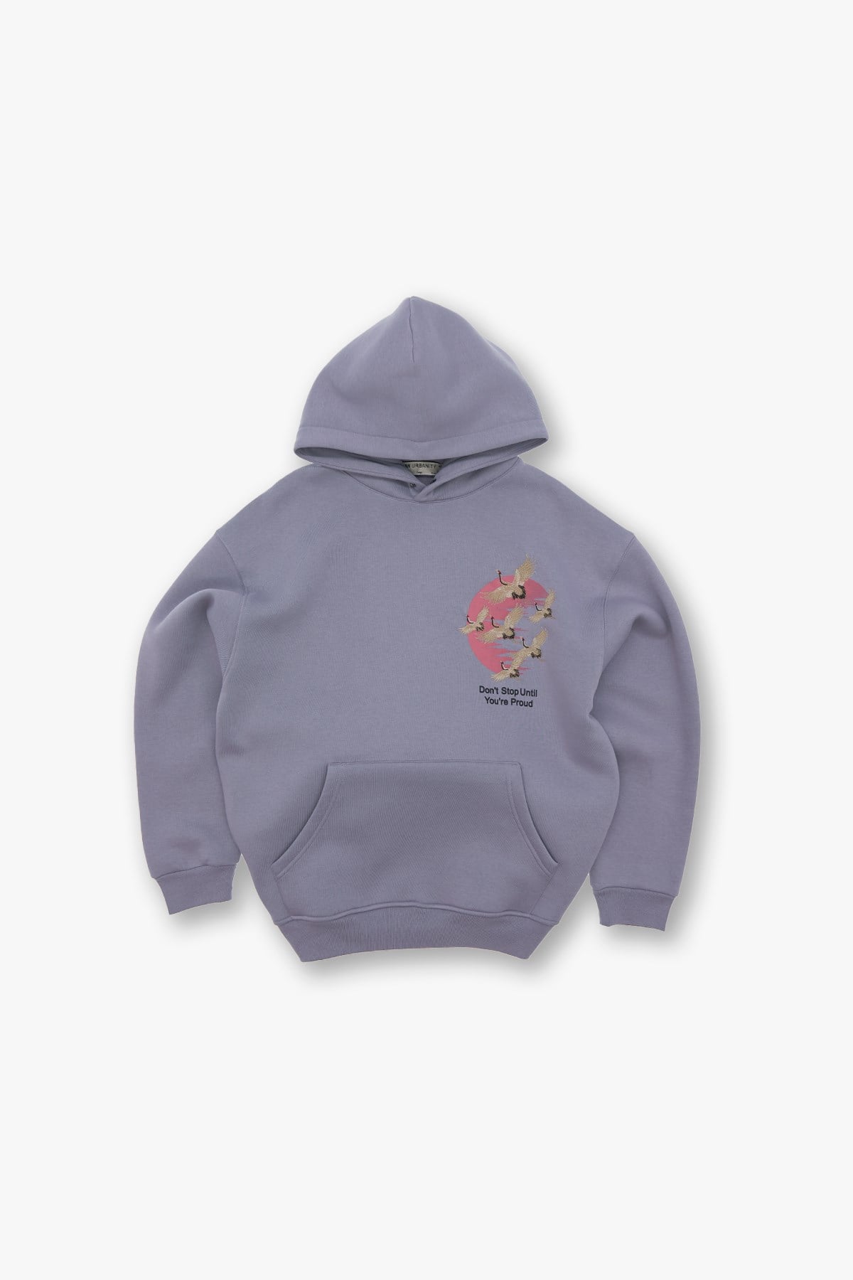 Flight of Dreams Oversize Sweatshirt Erkek Gri