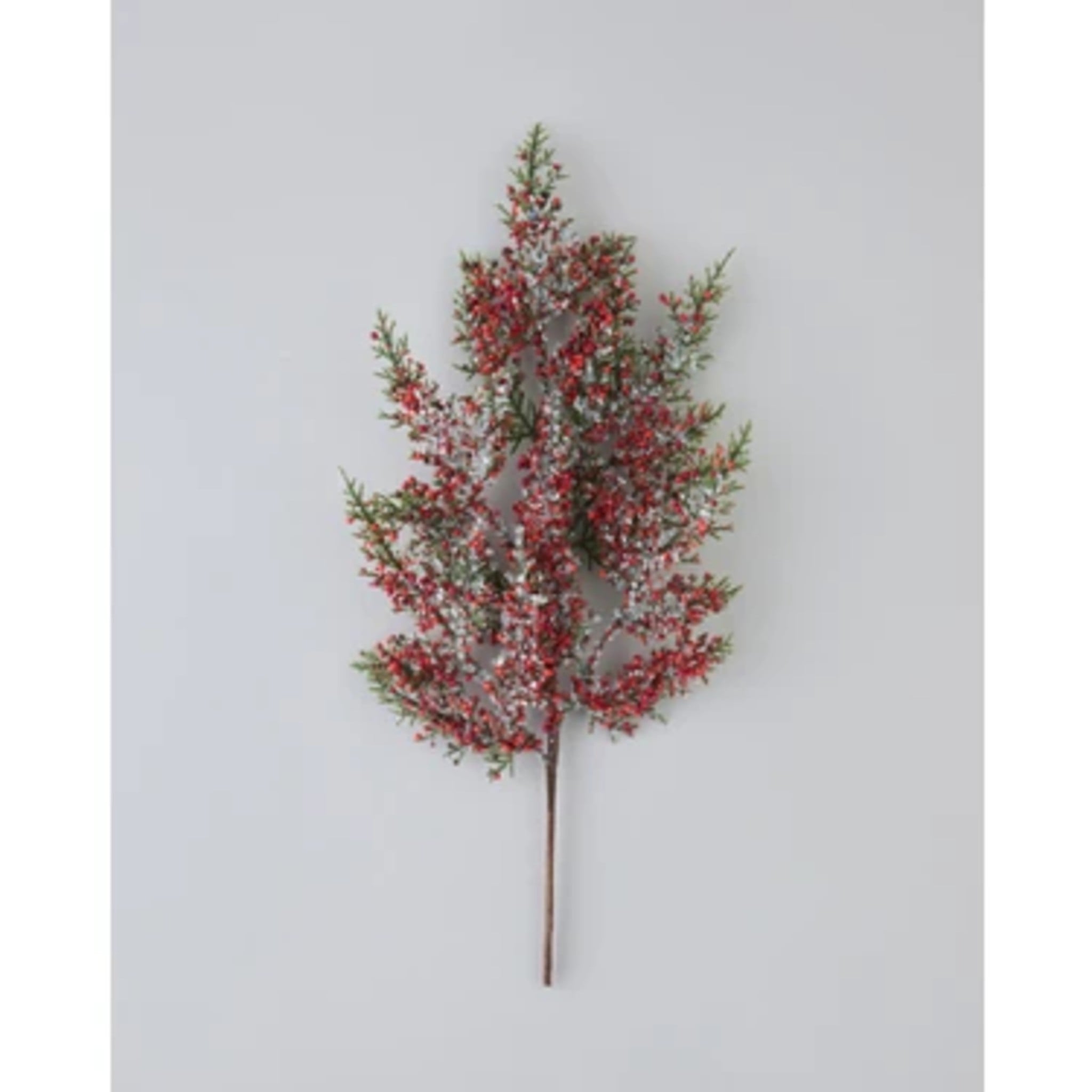 429-024 CEDAR REED BUNDLE 51 CM