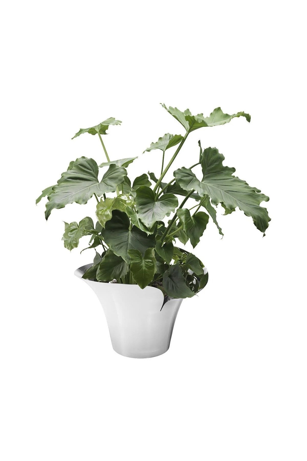 GJ BLOOM BOTANICA FLOW.POT L ÇİÇEK VAZO