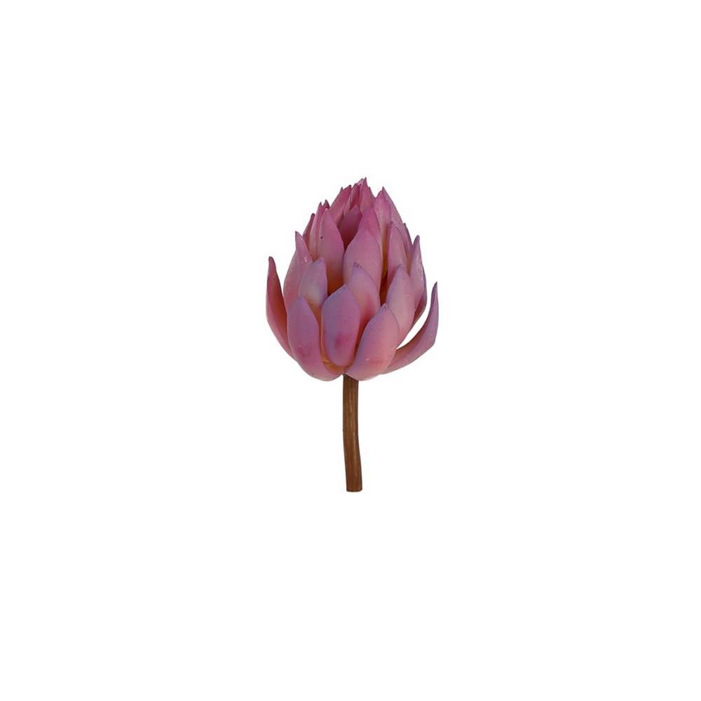 KUK 383-089 SUCCULENT