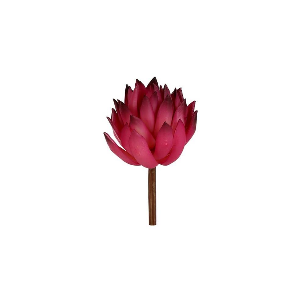 KUK 383-089 SUCCULENT