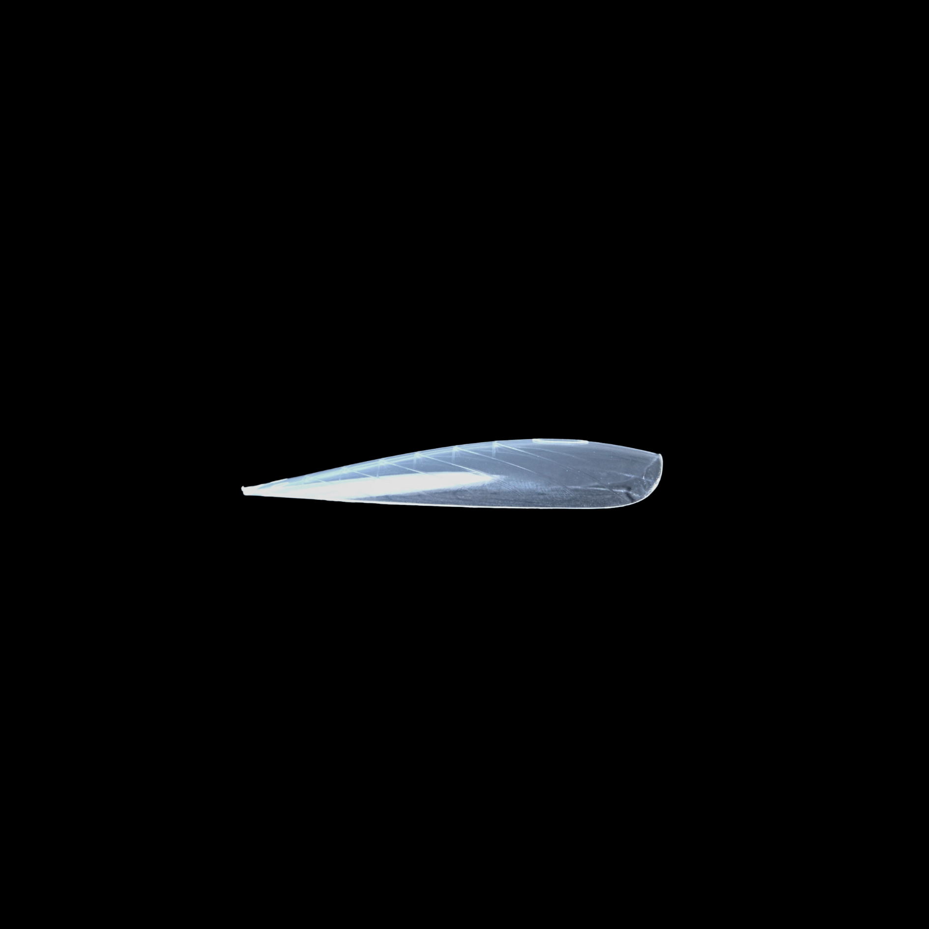 ADN Core Series Üst Form No:08 Volume Stiletto