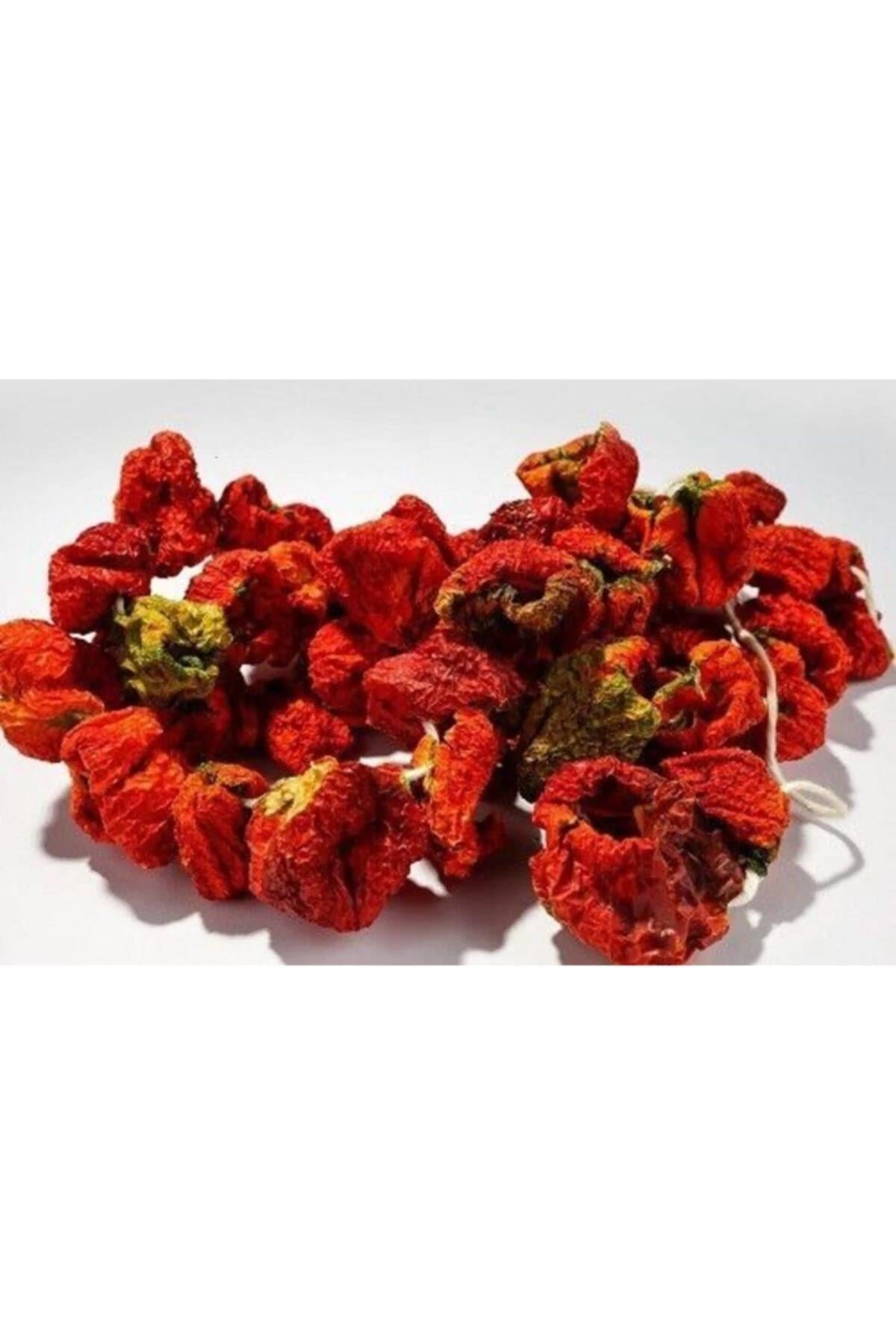 Tatlı Biber Kurusu (Dolmalık)