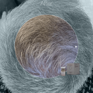 MORPHIYA – Exomorphic Biotech™ Scalp Hybrid Eksozom (Saç ve Saç Derisi)