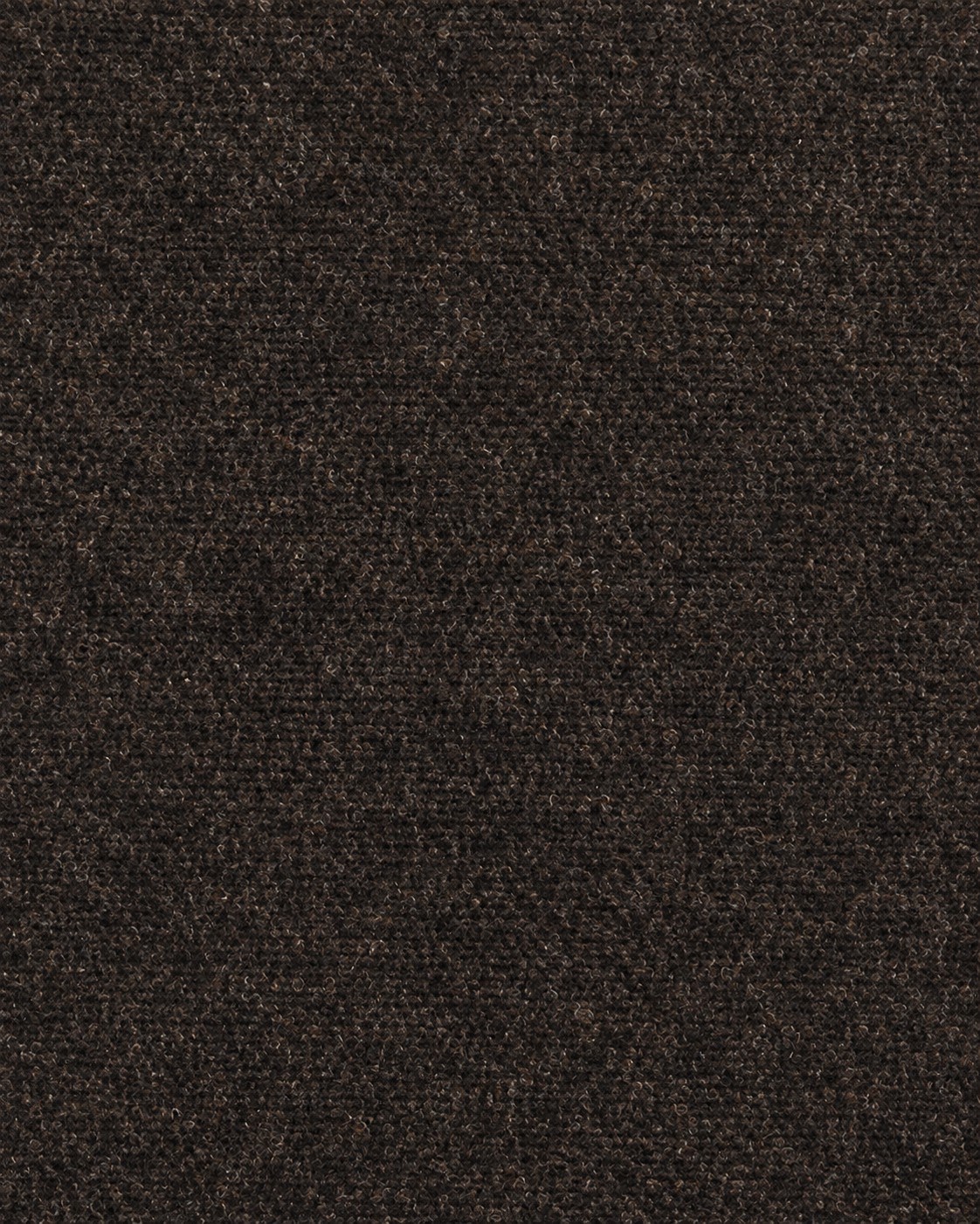 Soho Jogger Pantolon Kahverengi